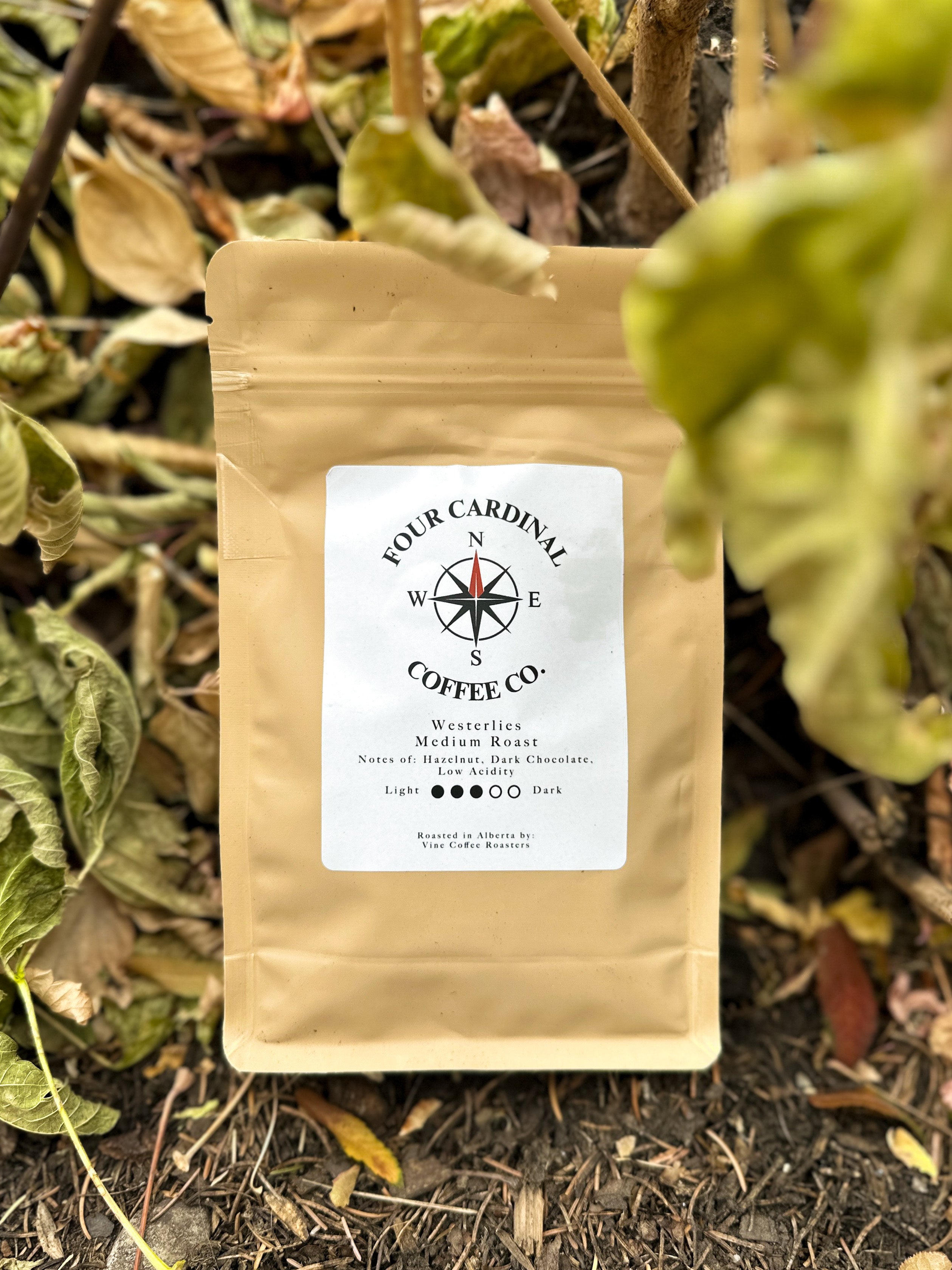 Westerlies Medium Roast